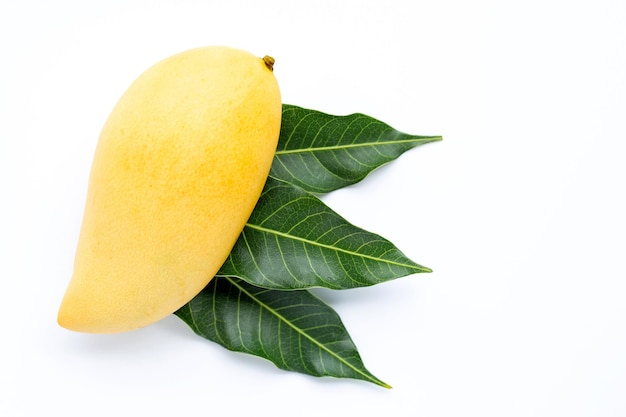 Nahaufnahme einer gelben Frucht vor weißem Hintergrund