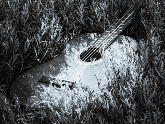 Foto nahaufnahme einer gitarre auf dem feld