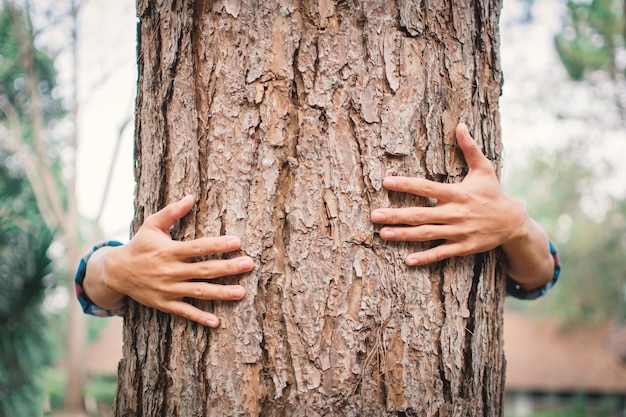 Foto nahaufnahme einer hand, die den baumstamm umarmt