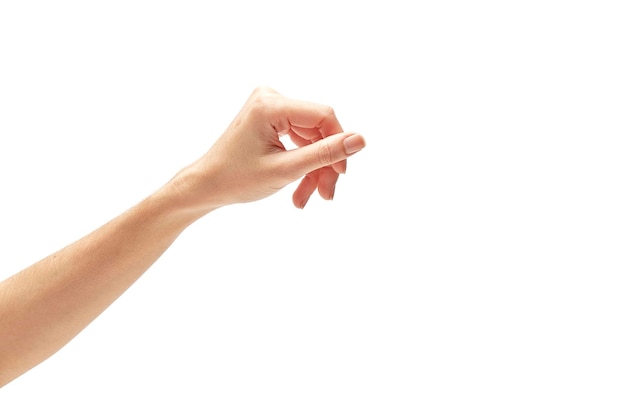 Nahaufnahme einer Hand, die ein Blatt auf weißem Hintergrund hält