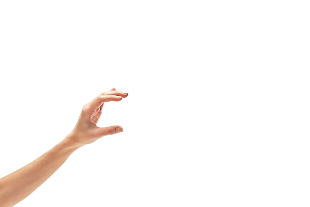 Nahaufnahme einer Hand, die ein Blatt vor weißem Hintergrund hält