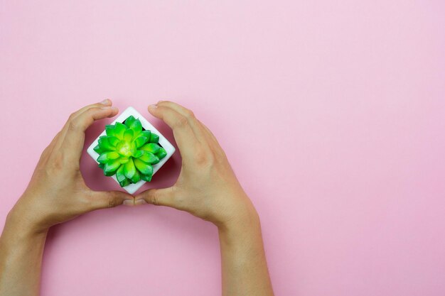 Foto nahaufnahme einer hand, die ein rosa blatt vor weißem hintergrund hält