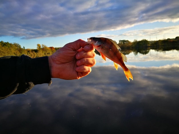 Foto nahaufnahme einer hand, die fische gegen den himmel hält