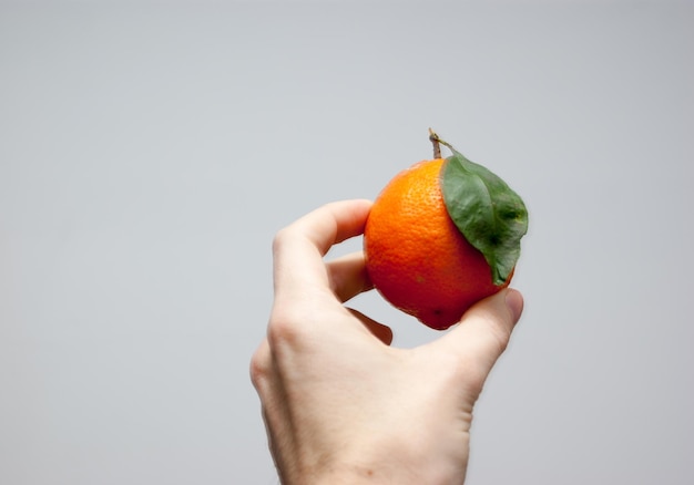 Foto nahaufnahme einer hand, die obst vor weißem hintergrund hält