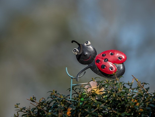 Foto nahaufnahme einer marienkäfer auf einer pflanze