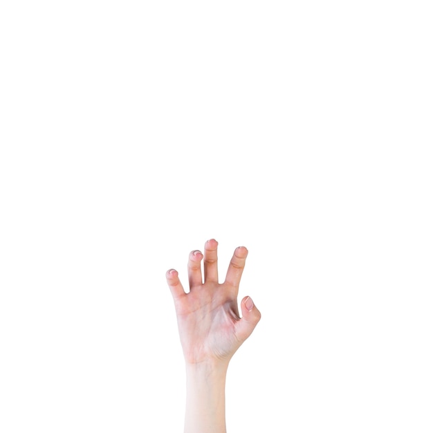 Nahaufnahme einer menschlichen Hand in der Greifergeste auf weißem Hintergrund
