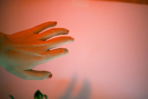 Foto nahaufnahme einer menschlichen hand