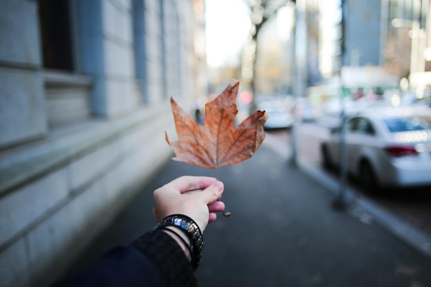 Nahaufnahme einer Person, die ein Herbstblatt in der Stadt hält