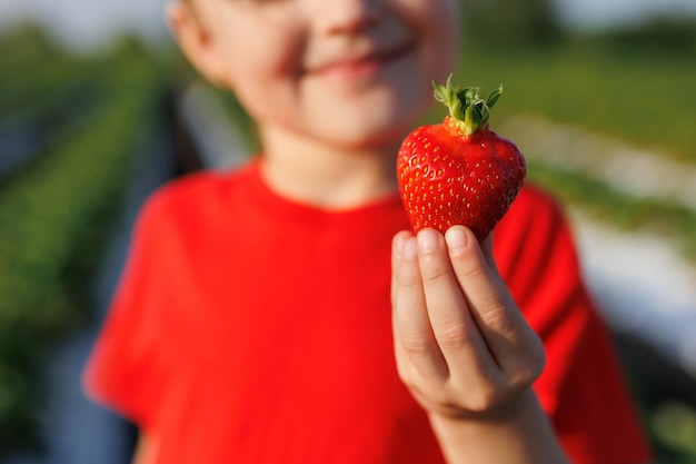 Nahaufnahme einer reifen roten Erdbeerbeere in den Händen eines kleinen Mädchens