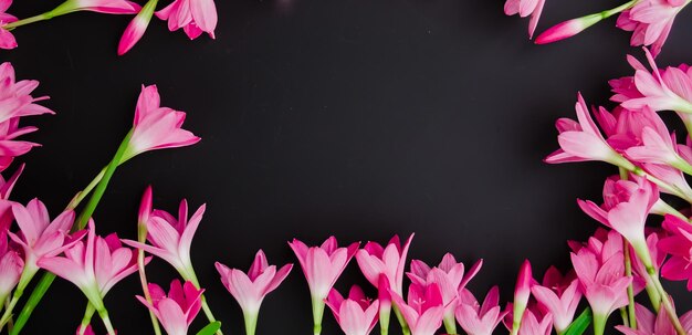 Foto nahaufnahme einer rosa blühenden pflanze
