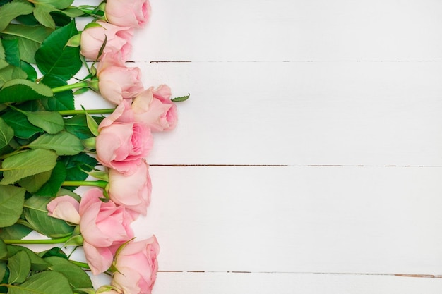 Nahaufnahme einer rosa Rose an der Wand
