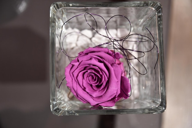 Foto nahaufnahme einer rosa rose im glas