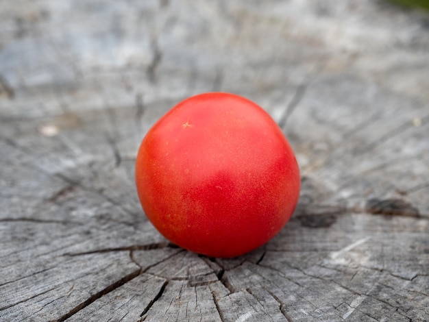 Nahaufnahme einer roten Tomate, die auf einem hölzernen Hintergrund in Form eines Stumpfes liegt. Unscharfer Hintergrund, selektiver Fokus