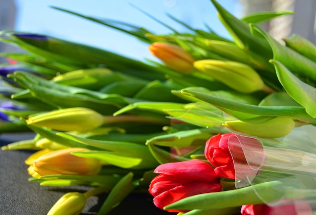 Foto nahaufnahme einer roten tulpe