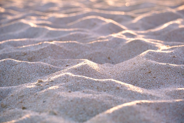 Nahaufnahme einer sauberen gelben Sandfläche, die den mit Abendlicht beleuchteten Strand am Meer bedeckt Reise- und Urlaubskonzept