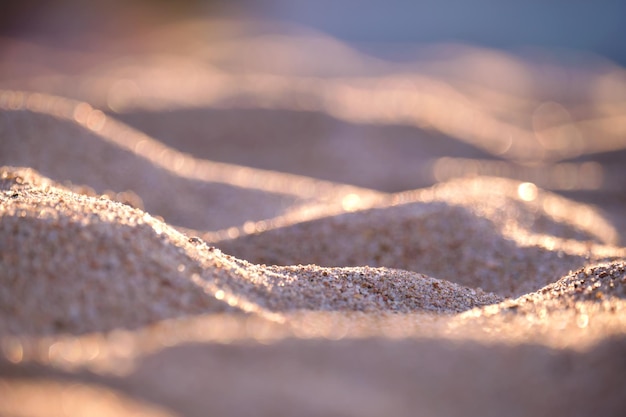 Nahaufnahme einer sauberen gelben Sandfläche, die den mit Abendlicht beleuchteten Strand am Meer bedeckt Reise- und Urlaubskonzept