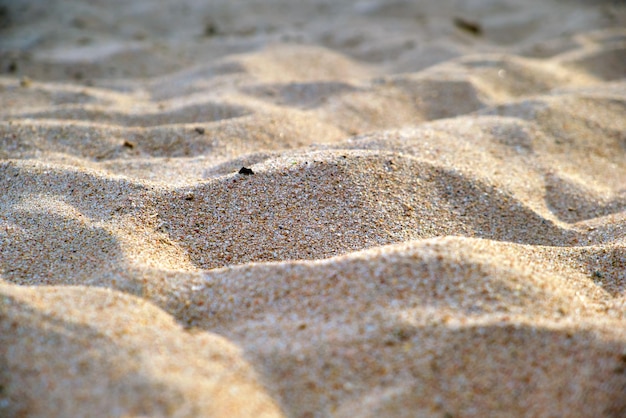 Nahaufnahme einer sauberen gelben Sandfläche, die den mit Tageslicht beleuchteten Strand am Meer bedeckt Reise- und Urlaubskonzept