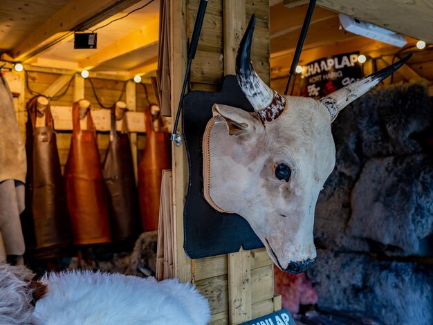 Foto nahaufnahme einer tierdarstellung