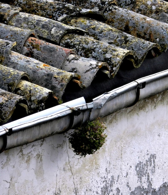 Foto nahaufnahme einer wasserleitung