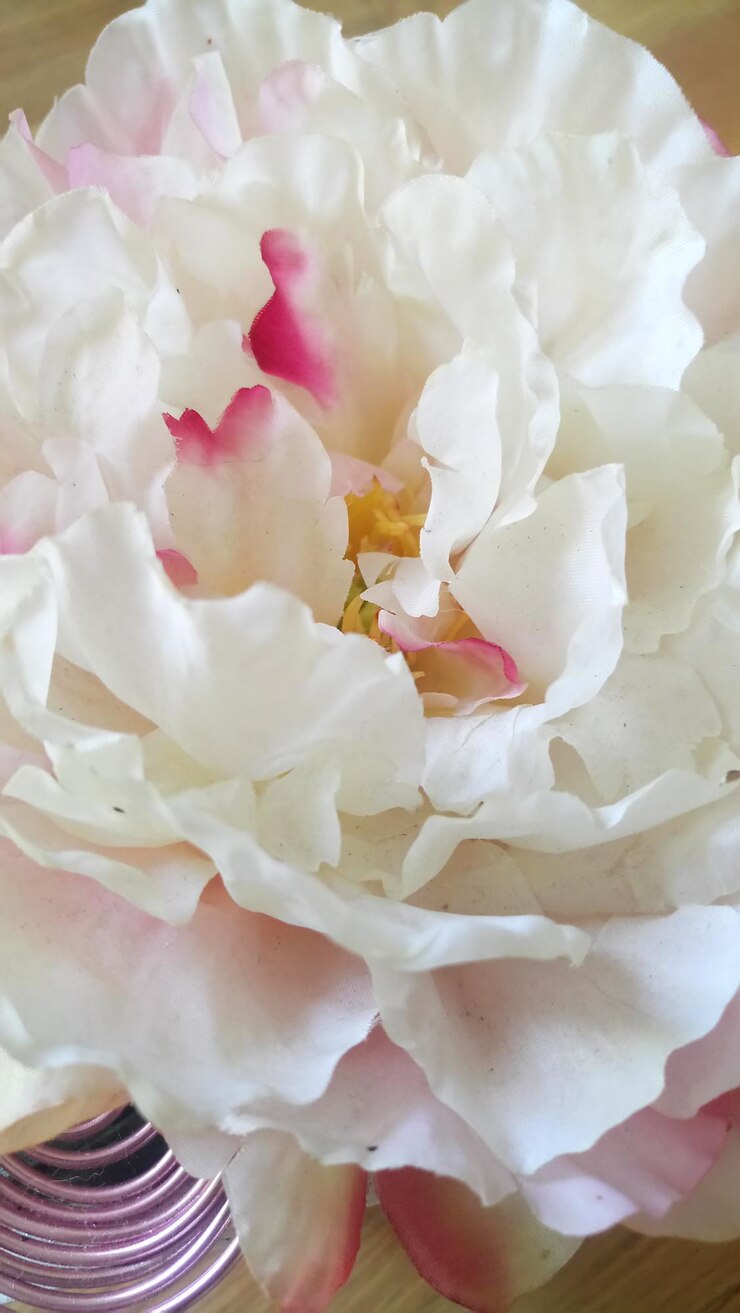 Foto nahaufnahme einer weißen blume auf dem tisch