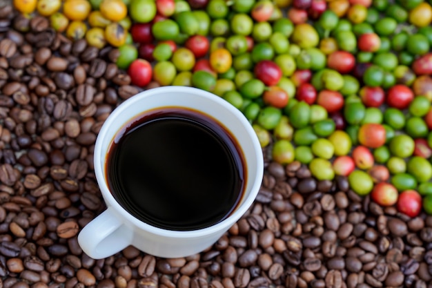 Nahaufnahme einer weißen Kaffeetasse mit rohem Kaffeebohnenhintergrund in der Morgensonne.