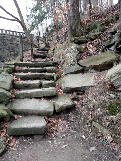 Foto nahaufnahme einer ziegelsteinmauer