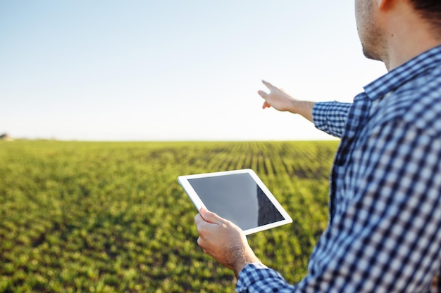 Nahaufnahme eines Bauern, der eine Tablette hält, die mitten auf dem jungen grünen Weizenfeld steht. Agromonist sendet Fortschrittsdaten vom Feld, um den Erntezustand zu untersuchen und zu analysieren.