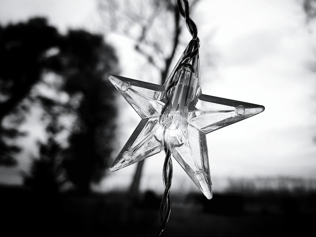 Foto nahaufnahme eines baumes gegen den himmel