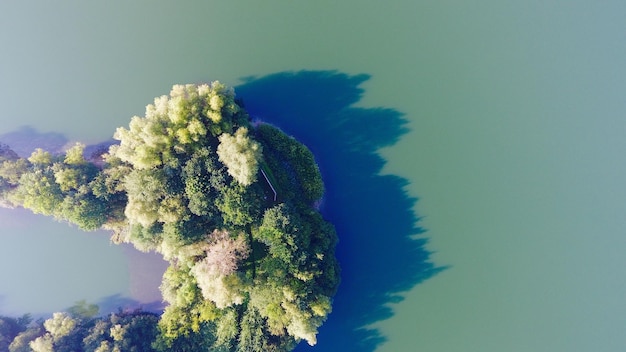 Nahaufnahme eines Baumes vor klarem blauen Himmel