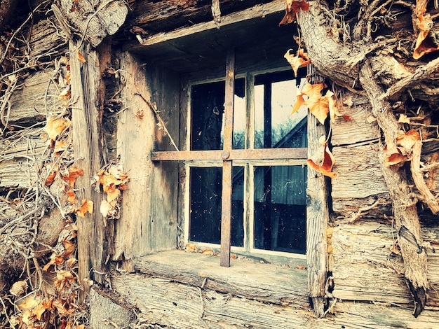 Nahaufnahme eines beschädigten Fensters