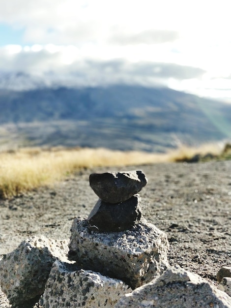 Foto nahaufnahme eines blattes auf dem feld gegen den himmel