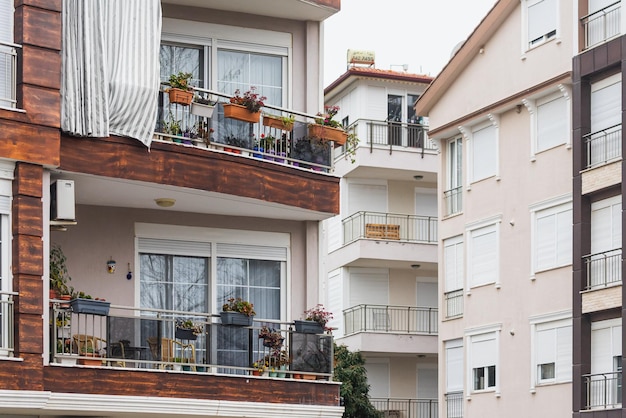 Nahaufnahme eines charmanten Fensters eines weißen alten Hauses mit dekorierten Töpfen mit grünen Pflanzen und Blumen