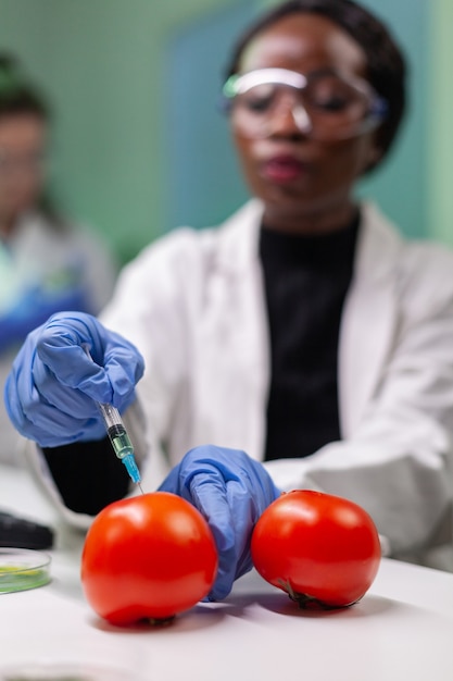 Nahaufnahme eines Chemikers, der Bio-Tomaten mit Pestiziden für GVO-Test injiziert?