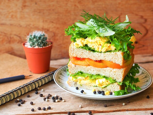 Nahaufnahme eines Eier-Sandwiches auf einem Teller