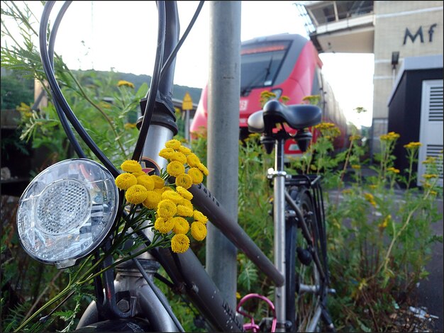 Foto nahaufnahme eines fahrrads auf einer gelben blume