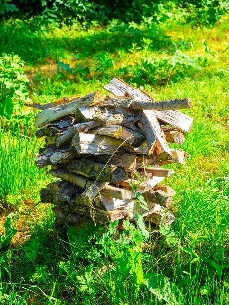 Foto nahaufnahme eines gehackten baumes auf brennholz, das im sommer im dorf auf dem boden angehäuft wurde