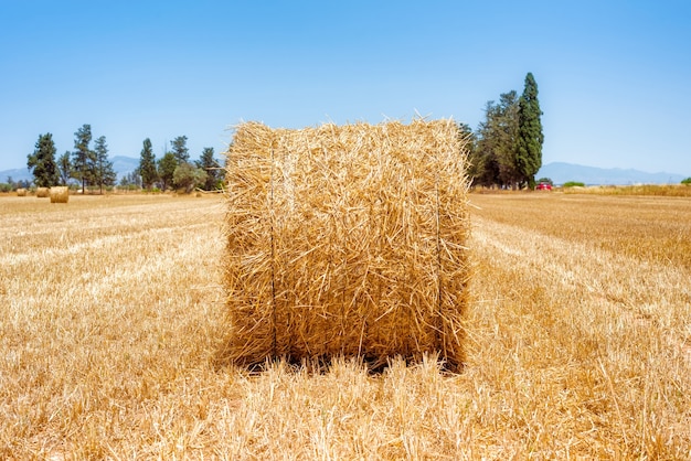 Nahaufnahme eines Heu Strohballen auf einem Feld