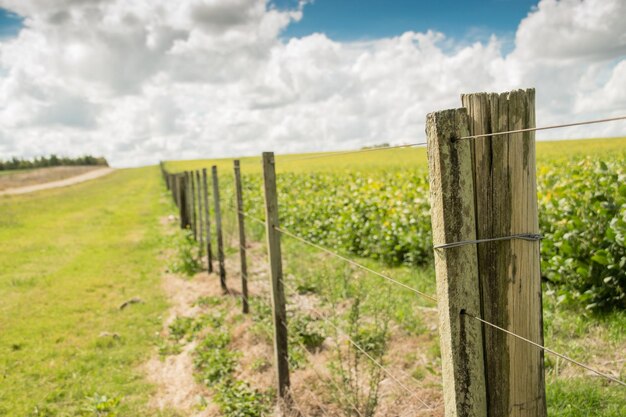 Nahaufnahme eines Holz- und Eisenzauns in einem grünen Feld