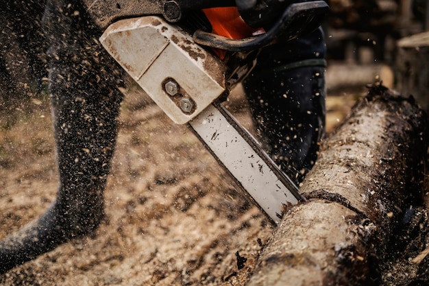 Nahaufnahme eines Holzfällers, der mit einer Kettensäge Wälder schneidet