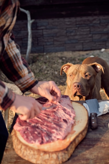 Nahaufnahme eines Hundes, der ein Stück Fleisch betrachtet, während sein Besitzer es für das Abendessen im Freien zubereitet