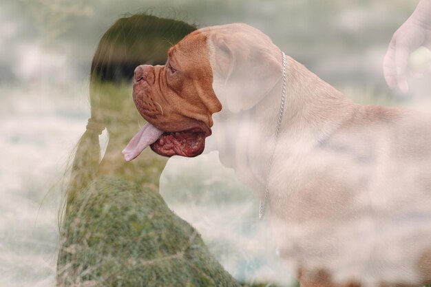 Foto nahaufnahme eines hundes im freien