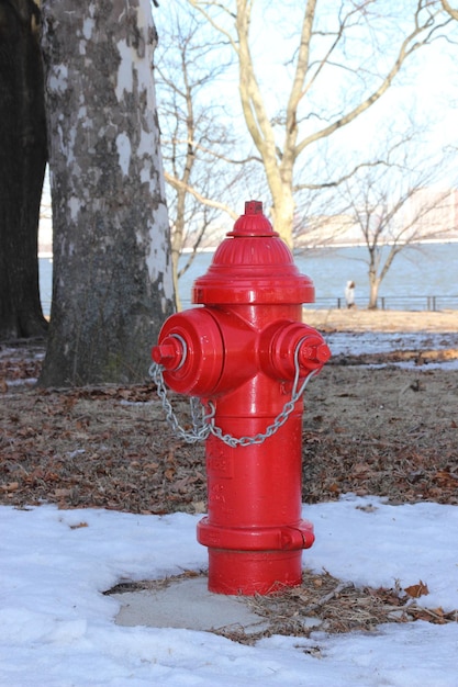 Nahaufnahme eines Hydranten im Winter