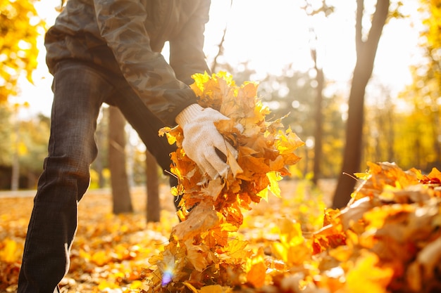 Nahaufnahme eines Jungen, der vergilbtes Laub in einem Park oder Wald sammelt. Gebietsreinigung, Herbstlandschaft. Ein männlicher Freiwilliger räumt Blätter auf.