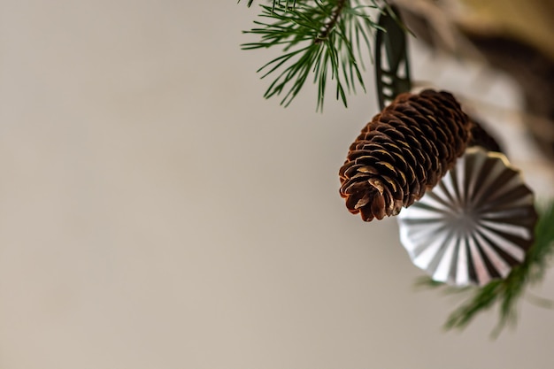 Foto nahaufnahme eines kiefernkegel gegen einen baum