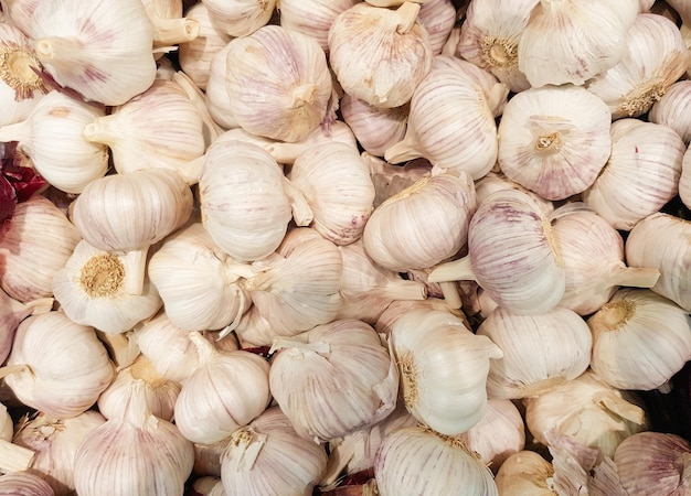 Nahaufnahme eines Knoblauchhintergrundes auf einem Gemüsemarkt mit vielen Knoblauchköpfen