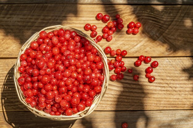 Nahaufnahme eines Korbes mit roten Johannisbeeren.