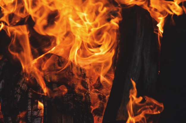Nahaufnahme eines Lagerfeuers in der Nacht