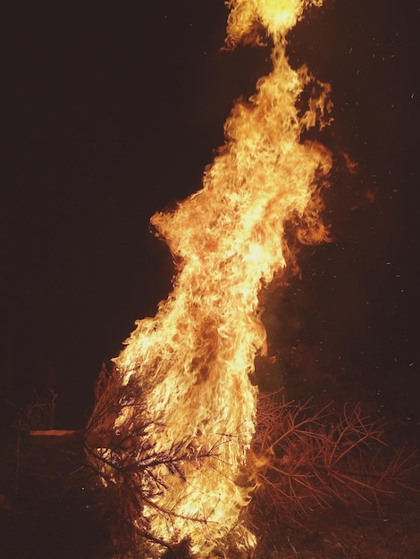Nahaufnahme eines Lagerfeuers in der Nacht