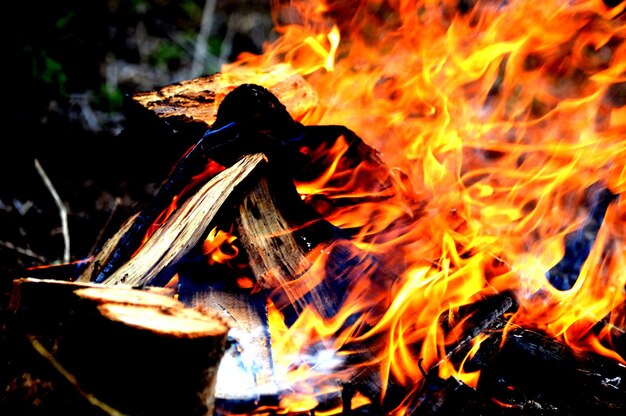 Foto nahaufnahme eines lagerfeuers in der nacht