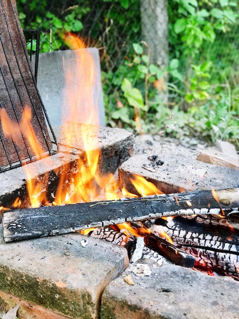 Nahaufnahme eines Lagerfeuers nach Pflanze